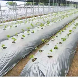 นวัตกรรมวัตถุดิบเคมี: การสำรวจโพลีเอสเตอร์โพลีออลและโพลีเมอร์โพลีโอลในการใช้งานโพลียูรีเทนที่ทันสมัย