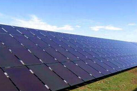 สัตว์เลี้ยงทนต่อการไฮโดรไลซิสหรือไม่?